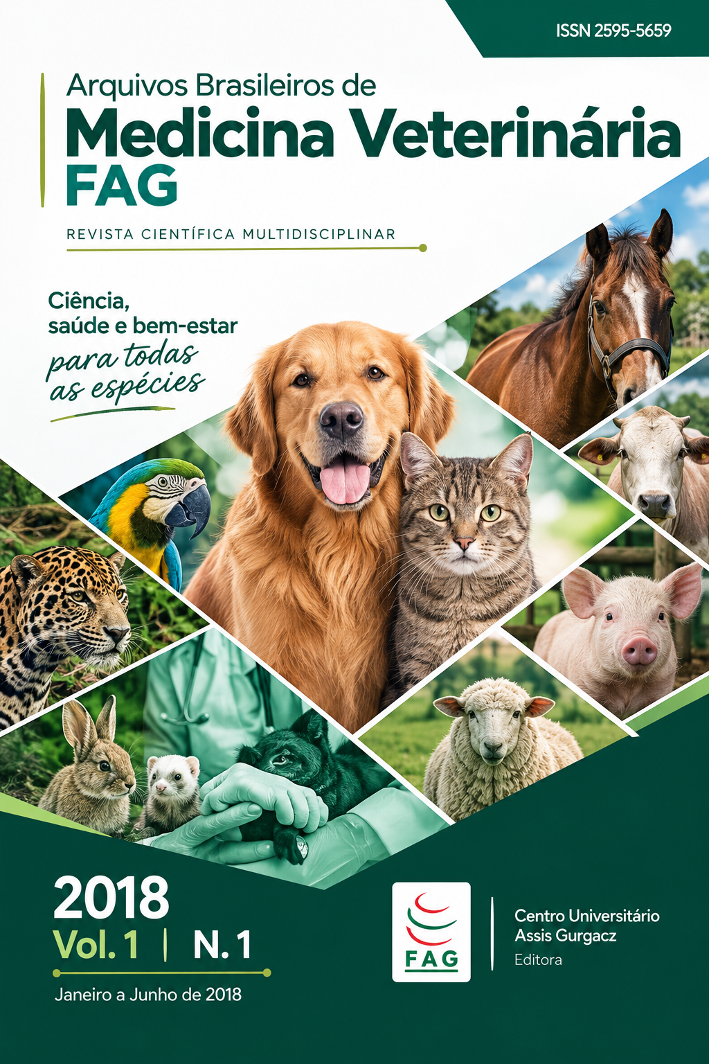 					Visualizar v. 1 n. 1 (2018): Arquivos Brasileiros de Medicina Veterinária FAG
				