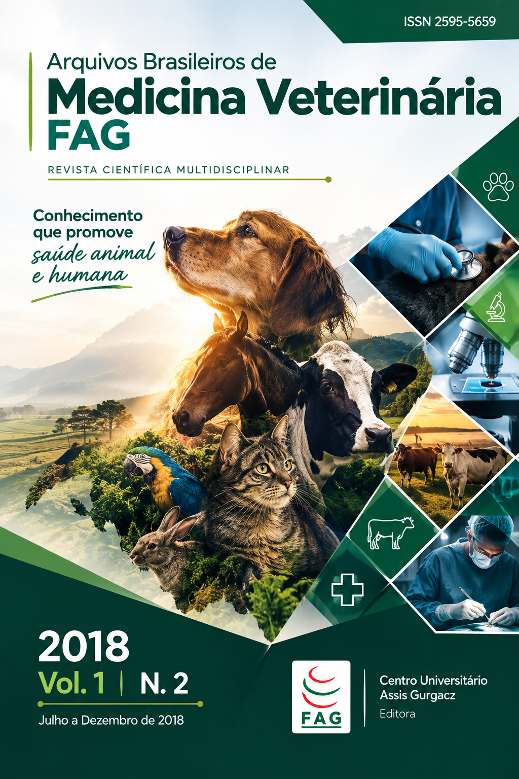 					Visualizar v. 1 n. 2 (2018): Arquivos Brasileiros de Medicina Veterinária FAG
				